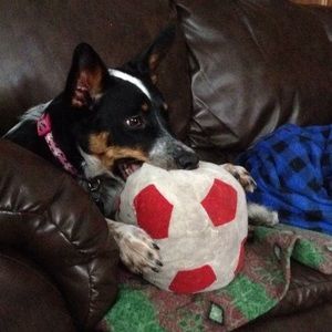 Meet your Posher, Brenda